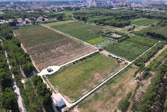 1720064363177086.png image.png